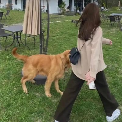 炽热的火焰